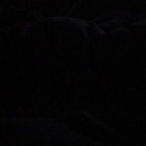 Meet your Posher, Blane